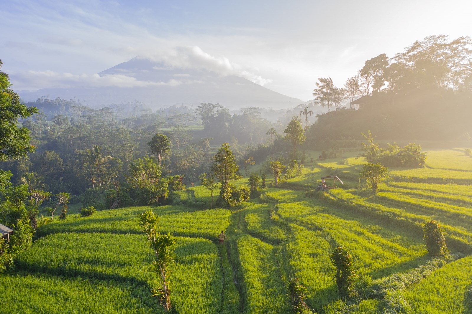 INDONESIA