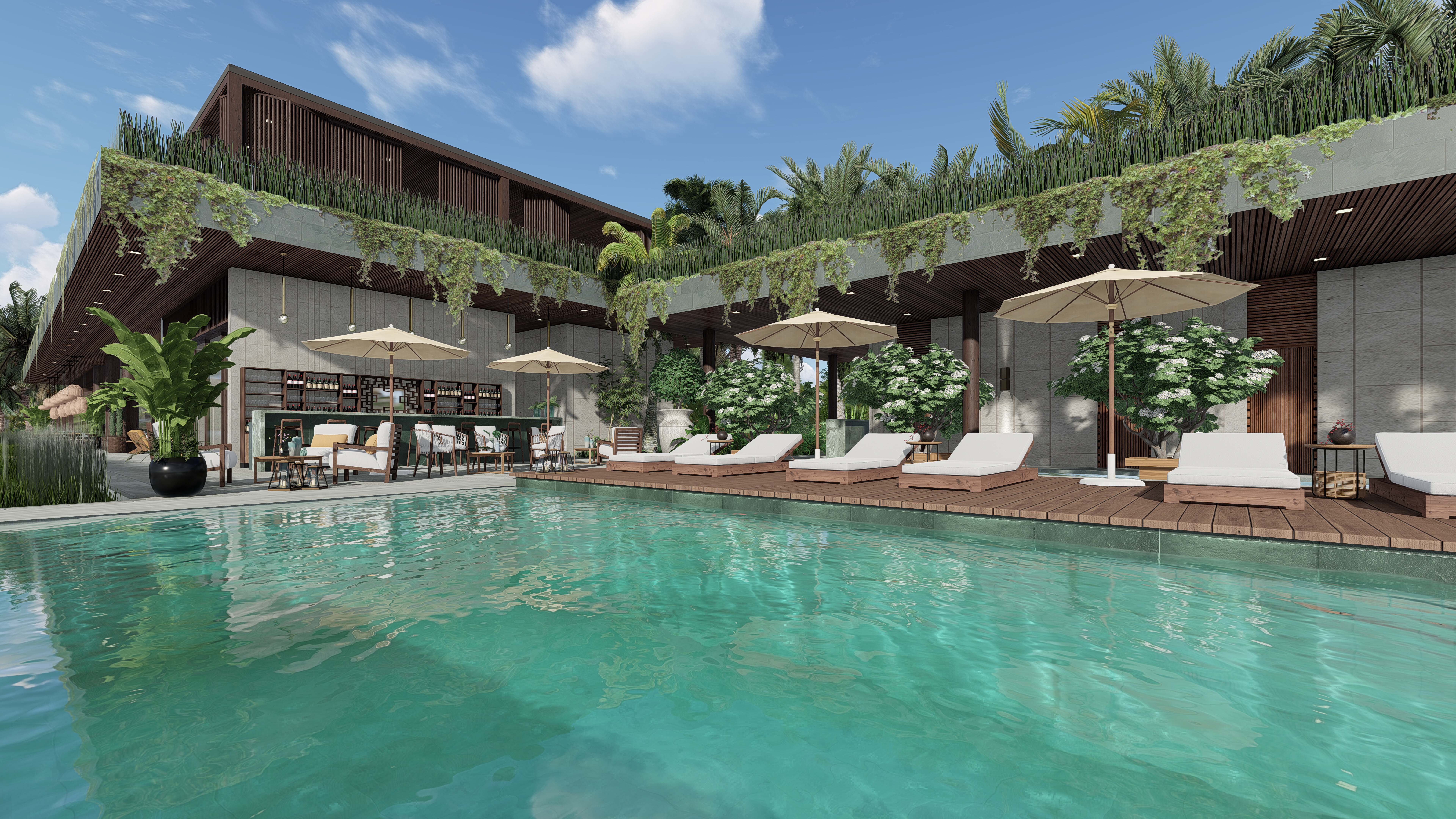 AMBER KAMPOT image 1